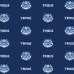 Virtual Background - Troll and Trolls